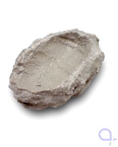 Muschelhalter Riffkeramik 7-8cm