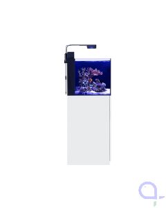 Red Sea Max Nano Peninsula Komplett weiß