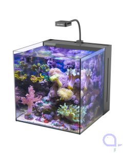 Aqua Medic Yasha 60 Beispieleinrichtung